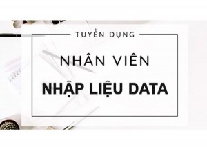 CTY NHẬP LIỆU TYPE DATA